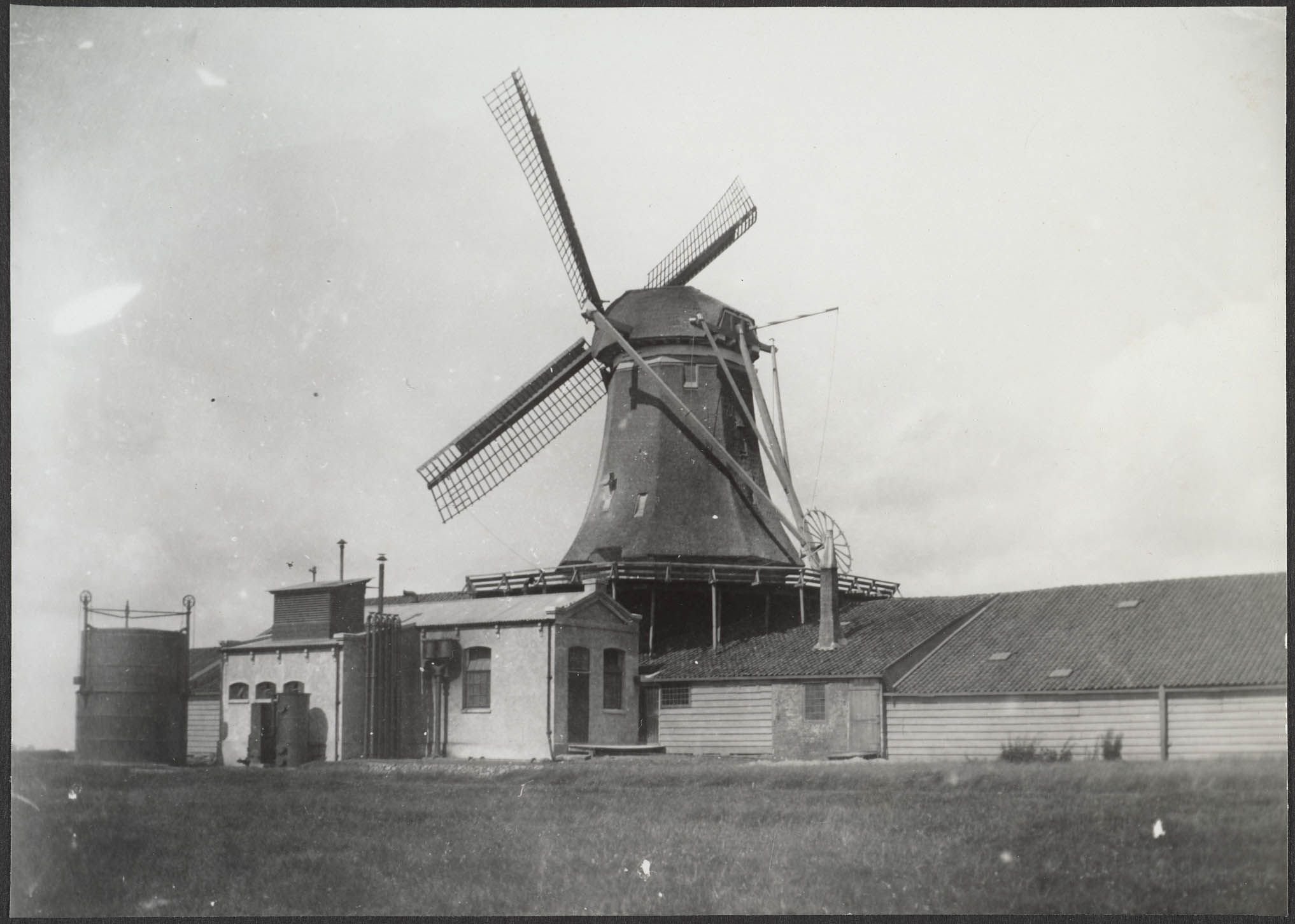 De jonge voorn