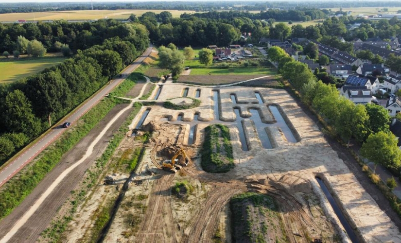 Turfweide