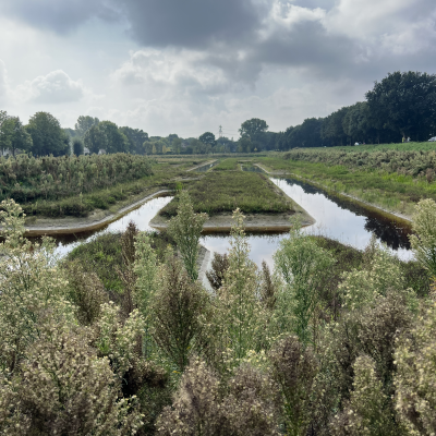 De Turfweide